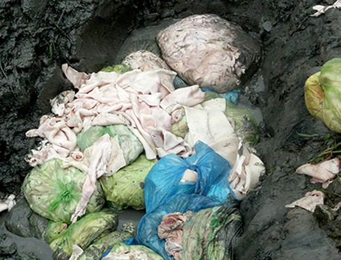 Chở mỡ, bì, nội tạng lợn thối đi tiêu thụ - ảnh 1