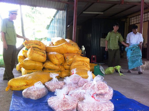 1,5 tấn mực khô bị bắt ở Quảng Trị là mực giả - ảnh 2