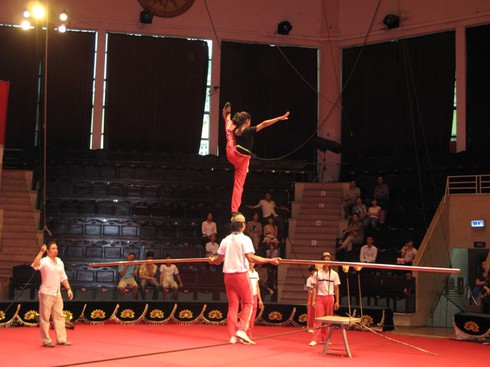 Có nên giữ mô hình đào tạo nghề xiếc tốn kém như hiện nay? - ảnh 2