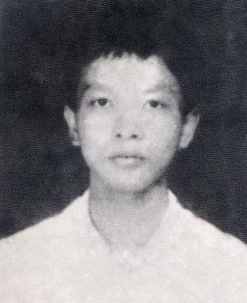 Thời niên thiếu của Đại tướng Võ Nguyên Giáp - ảnh 1