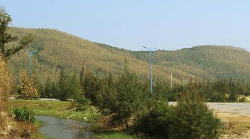 Mũi Rồng: Đón chờ ngày Đại tướng Võ Nguyên Giáp về quê - ảnh 3