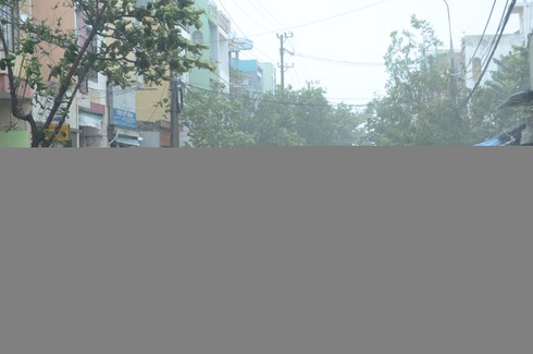 Cây xanh đổ chắn ngang đường Trần Cao Vân