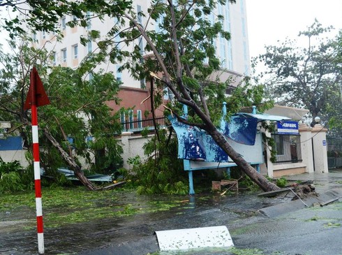 Cây gãy đổ trên đường Lê Duẩn bật gốc