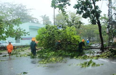 Lực lượng chức năng đang đốn, dọn cây bị ngã chắn ngang đường