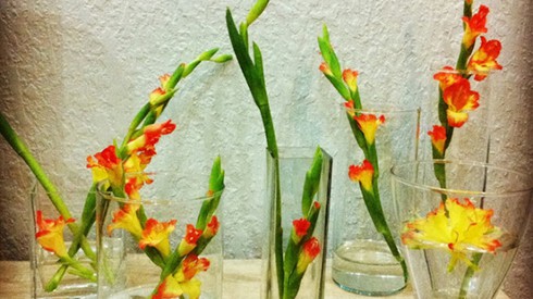 Chọn mua hoa trong ngày 20-10 - ảnh 11