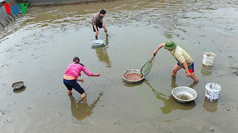 Cúng ông Công, ông Táo: Về làng nuôi cá chép - ảnh 2