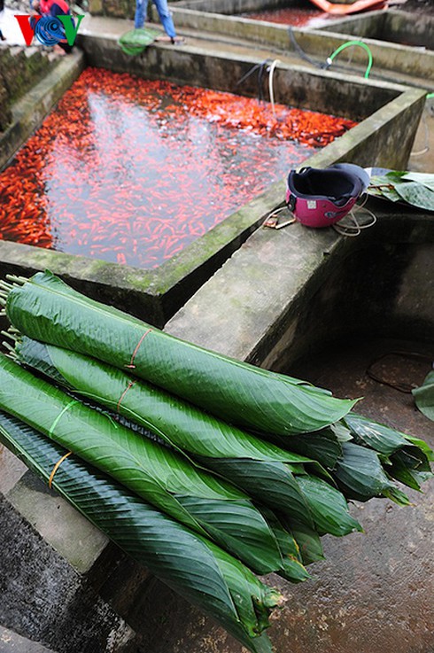 Cúng ông Công, ông Táo: Về làng nuôi cá chép - ảnh 15