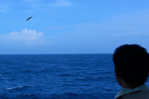 Ngắm vẻ đẹp Tổ quốc nơi đầu sóng - ảnh 5