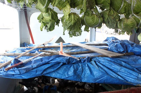 Quà Tết tới Nhà Giàn mùa biển động - ảnh 4