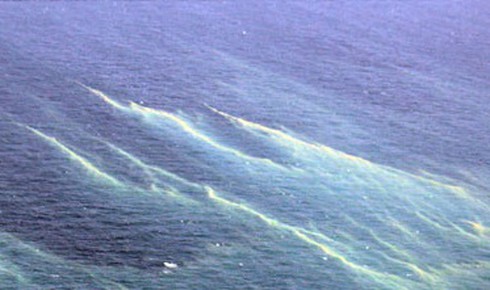 Cận cảnh vật thể lạ thứ 2 tại địa điểm nghi máy bay Malaysia rơi - ảnh 3