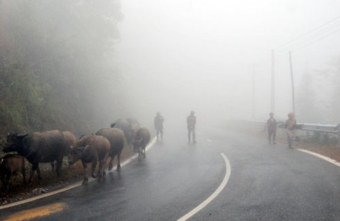 Tin mới nhất về không khí lạnh chiều 20-3 - ảnh 1