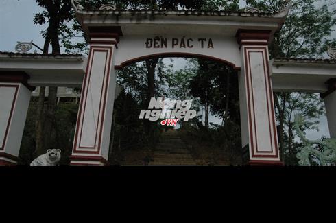 Pác Tạ và chuyện thêu dệt mang màu sắc kỳ quái quanh dòng họ Ma - ảnh 2