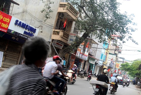 Hà Nội: Hàng loạt cây chờ chực đổ ụp xuống nhà dân - ảnh 4