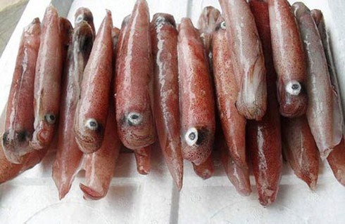 Cách bảo quản mực trứng 2 năm vẫn bổ dưỡng - ảnh 1