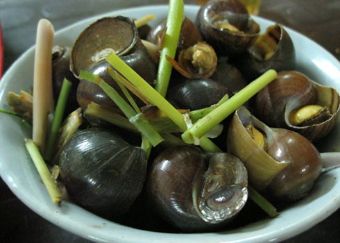 Xả là một trong những gia vị giúp ốc luộc có hương vị thơm ngon. Ảnh: Bình Yên.