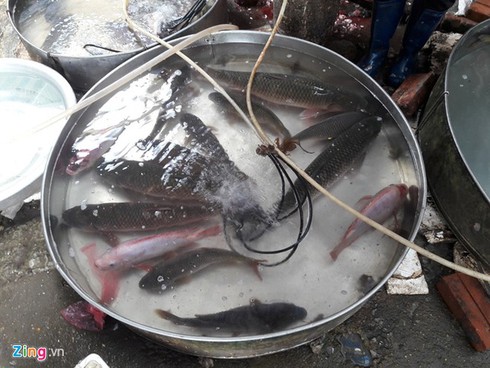Sau Tết, 1,5 triệu đồng một con cá chép vẫn 'cháy' hàng - ảnh 1