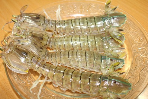 Chớm hè, ngư dân thu tiền triệu mỗi ngày từ bề bề - ảnh 4