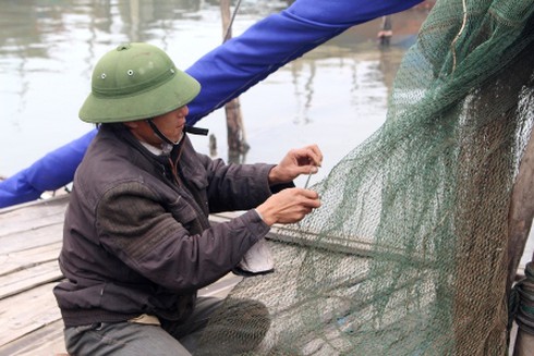 Chớm hè, ngư dân thu tiền triệu mỗi ngày từ bề bề - ảnh 5