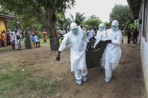 Quá sớm khi thử nghiệm thuốc chữa Ebola? - ảnh 1