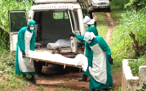 Ebola thành đại dịch toàn cầu, thế giới sẽ phải làm gì? - ảnh 1