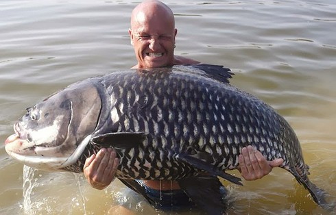 Kỳ thú cảnh câu cá chép Xiêm khổng lồ trên sông Mê Kông - ảnh 11