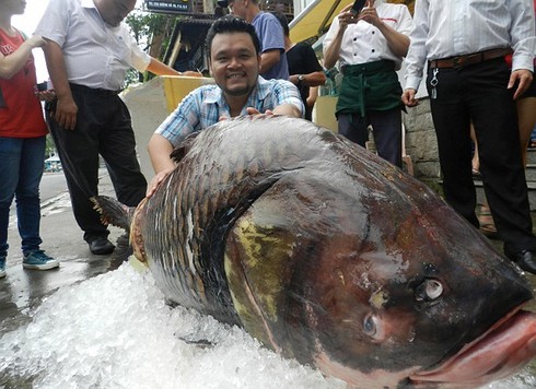 Kỳ thú cảnh câu cá chép Xiêm khổng lồ trên sông Mê Kông - ảnh 18