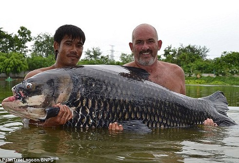 Kỳ thú cảnh câu cá chép Xiêm khổng lồ trên sông Mê Kông - ảnh 5