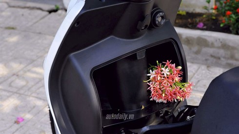 Xe máy không cần đăng ký cho học sinh có giá 30 triệu đồng - ảnh 2