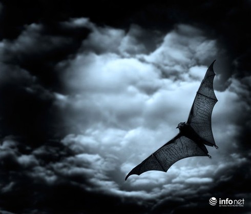 Những biểu tượng ghê rợn trong lễ hội Halloween - ảnh 2