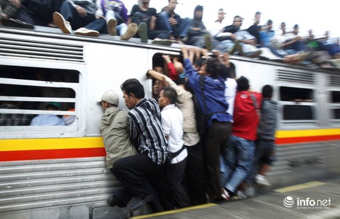 Ảnh: Thế giới này quá đông đúc - ảnh 2