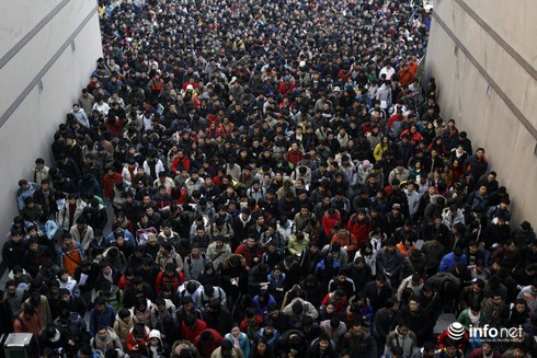 Ảnh: Thế giới này quá đông đúc - ảnh 8