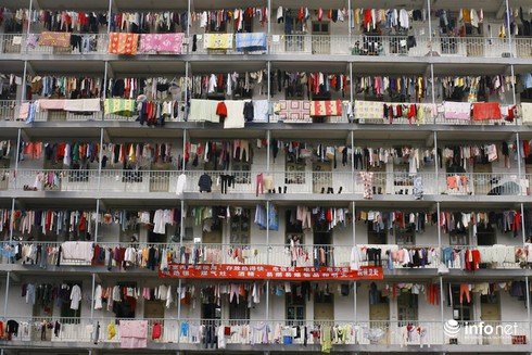 Ảnh: Thế giới này quá đông đúc - ảnh 9