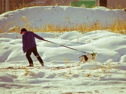 Vì sao chúng ta thường làm trái với ý kiến người khác? - ảnh 1