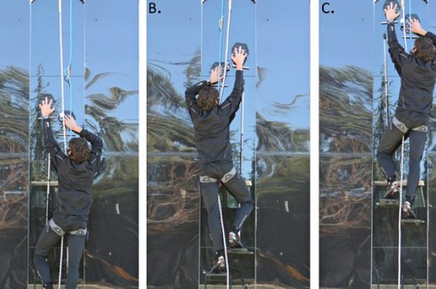 Đã phát minh ra thiết bị giúp con người thành “người nhện” - ảnh 1