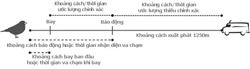 Vì sao chim thường hay đâm vào máy bay? - ảnh 3