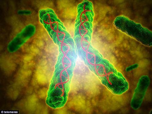 Tìm ra bí quyết giúp trẻ mãi không già - ảnh 1