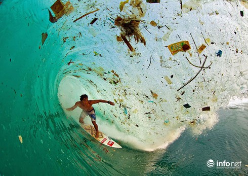 Sự tàn phá khủng khiếp của bùng nổ dân số - ảnh 1