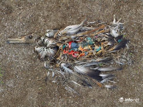 Sự tàn phá khủng khiếp của bùng nổ dân số - ảnh 12