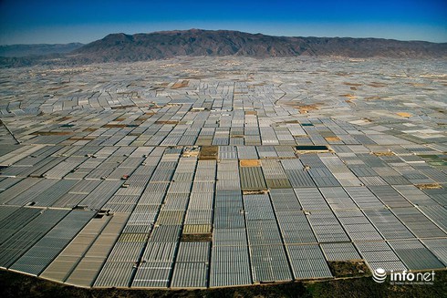 Sự tàn phá khủng khiếp của bùng nổ dân số - ảnh 13