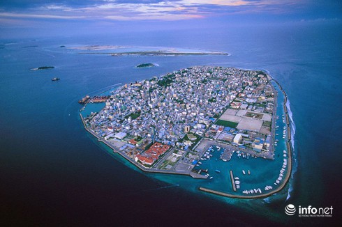 Sự tàn phá khủng khiếp của bùng nổ dân số - ảnh 15