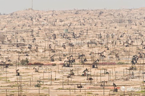 Sự tàn phá khủng khiếp của bùng nổ dân số - ảnh 4