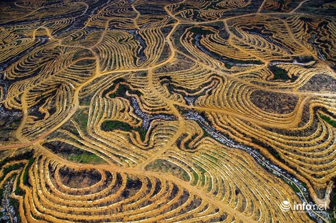 Sự tàn phá khủng khiếp của bùng nổ dân số - ảnh 7