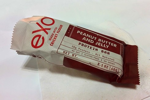 Không còn gạo, con người sẽ ăn gì? - ảnh 8