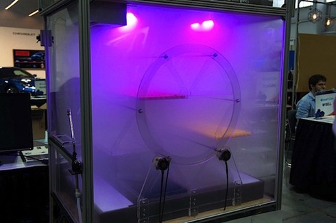 Không còn gạo, con người sẽ ăn gì? - ảnh 6