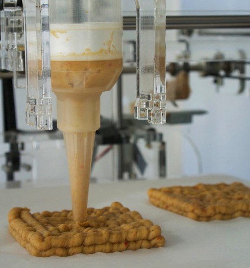 Không còn gạo, con người sẽ ăn gì? - ảnh 2