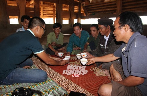 Độc đáo chuyện 'đục cây lấy rượu' - ảnh 2