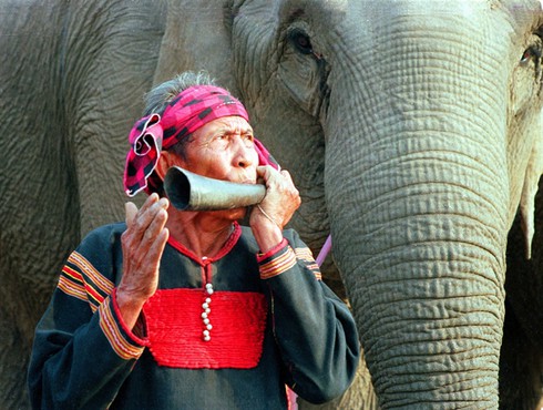 Bí ẩn lăng mộ của những 'dũng sĩ săn voi' - ảnh 3