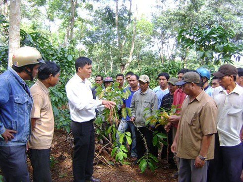 Đắk Lắk được hỗ trợ 35 tỷ đồng cấp đất cho hộ đồng bào dân tộc thiểu số - ảnh 1