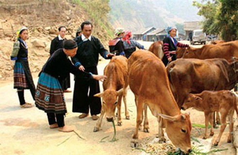 Đánh giá cao công tác hỗ trợ đồng bào dân tộc thiểu số của tỉnh Bạc Liêu - ảnh 1