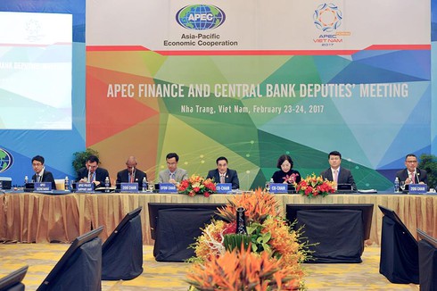 Kết thúc hội nghị Thứ trưởng Tài chính và Phó thống đốc NHTƯ APEC 2017 - ảnh 1